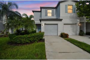 4007 Wild Senna Blvd, TAMPA