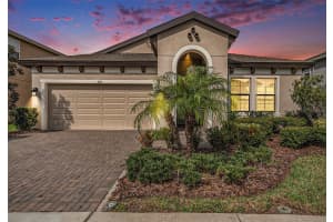 4016 Cadence Loop, LAND O LAKES