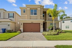 32684 Tamarind Grove Ln, WESLEY CHAPEL
