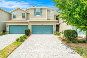 1105 Lady Gouldian Ct, TAMPA