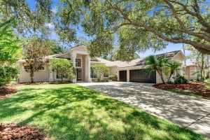 4477 Lavender Dr, PALM HARBOR