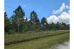 401 Camellia Dr, INDIAN LAKE ESTATES