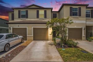 36171 Risa Michele St, ZEPHYRHILLS
