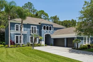 3511 Loggerhead Way, WESLEY CHAPEL