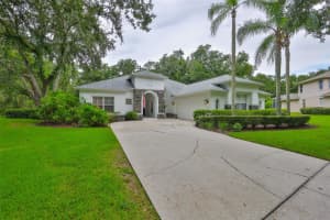 5819 Bent Grass Dr, VALRICO