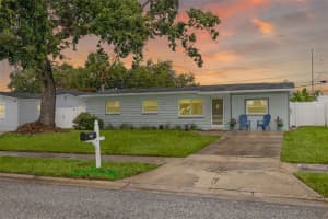 8013 Cornwall Ln, TAMPA