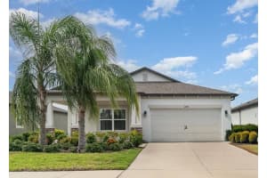 11444 Alachua Creek Ln, RIVERVIEW