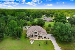 8935 Woodleaf Blvd, WESLEY CHAPEL