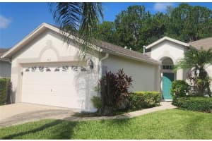 1713 Sassafras Dr, WESLEY CHAPEL