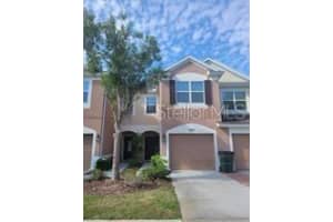 26530 Castleview Way, WESLEY CHAPEL