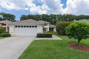 1049 Trafalgar Dr, NEW PORT RICHEY