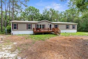 17155 Dalberg Dr, SPRING HILL