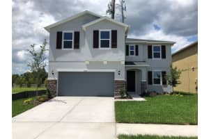 8919 Reserve Manor Dr, TAMPA