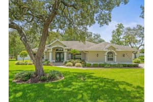 14717 Linden Dr, SPRING HILL 14717 Linden Dr, SPRING HILL