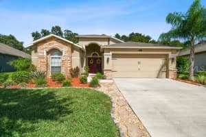 3608 Grecko Dr, WESLEY CHAPEL