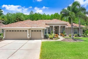 12029 Brewster Dr, TAMPA 12029 Brewster Dr, TAMPA