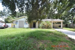 1802 Green Ridge Rd, TAMPA