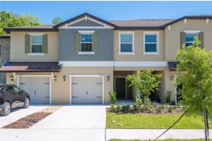 17399 Nectar Flume Dr, LAND O LAKES