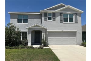 11889 Downy Birch Dr, RIVERVIEW