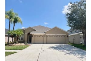 18319 Cypress Haven Dr, TAMPA