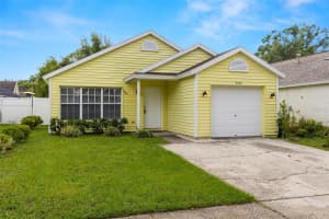 5204 Creekmore Ln, TAMPA