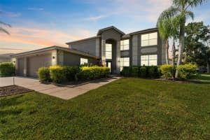 16219 Turnbury Oak Dr, ODESSA