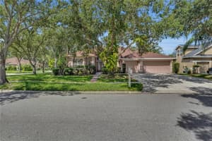 18108 Sugar Brooke Dr, TAMPA