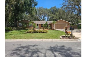 119 Windy Cir, BRANDON