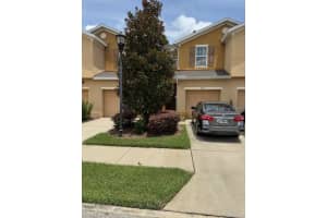 8723 Turnstone Haven Pl, TAMPA