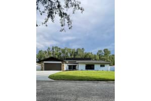 4545 Debbie Ln, LUTZ