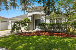 4301 Marchmont Blvd, LAND O LAKES