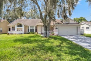 12196 Bluefield St, SPRING HILL