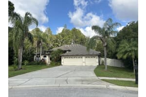 1012 Kingsborough Gardens Ct, LUTZ