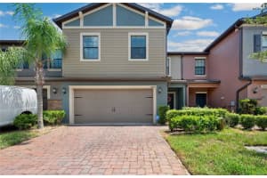 17365 Old Tobacco Rd, LUTZ