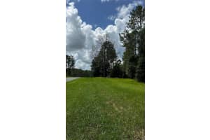 35501 Pinegate Trl, EUSTIS