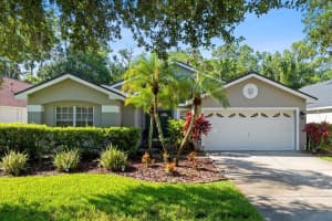 11727 Derbyshire Dr, TAMPA