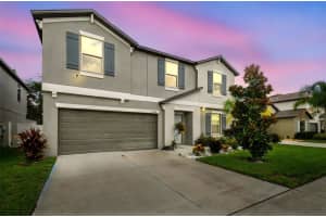 12941 Wildflower Meadow Dr, RIVERVIEW