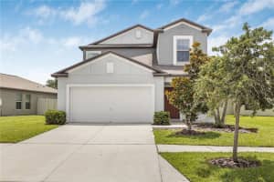 5149 White Chicory Dr, APOLLO BEACH
