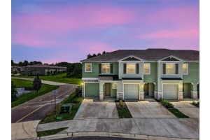11412 Velvet Apricot Dr, LAND O LAKES