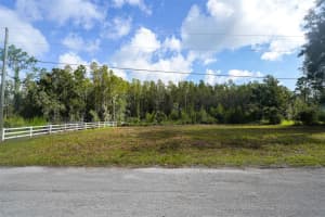 26305 Bluestripe Dr, WESLEY CHAPEL