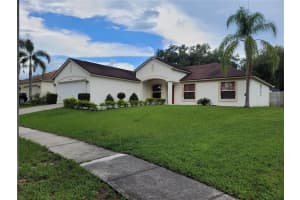 4233 Amber Ridge Ln, VALRICO