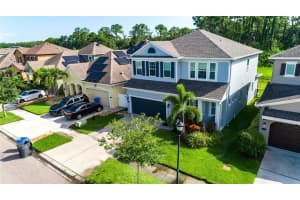 11323 Quiet Forest Dr, TAMPA