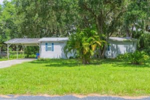 9117 Wood Terrace Dr, TAMPA