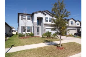 33251 Sycamore Leaf Dr, WESLEY CHAPEL