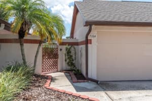 7104 Silvermill Dr, TAMPA