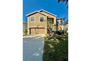 11161 Creek Haven Dr, RIVERVIEW
