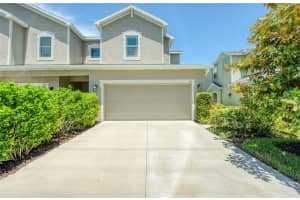 443 Harbor Springs Dr, PALM HARBOR