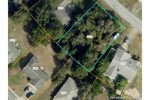 1010 Swanson Dr, DELTONA