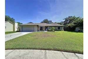 4603 Powder Horn Ct, TAMPA