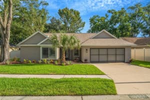 10301 Bellwood Ave, NEW PORT RICHEY